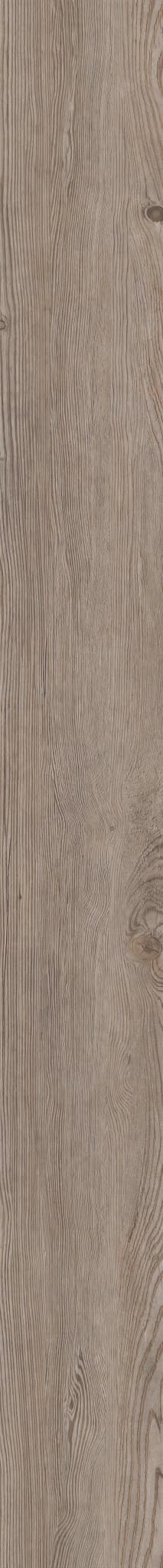 COREtec Originals Classics VV023 Corvallis Pine flooring