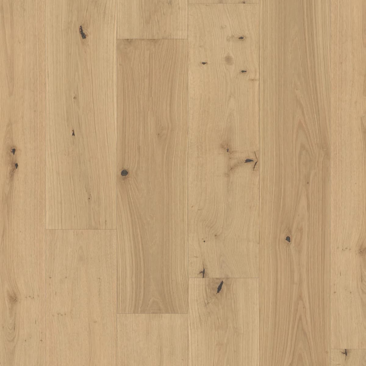 Close-up of pale Canvas white oak engineered hardwood with a lightly distressed texture, grain, and knots varying board to board