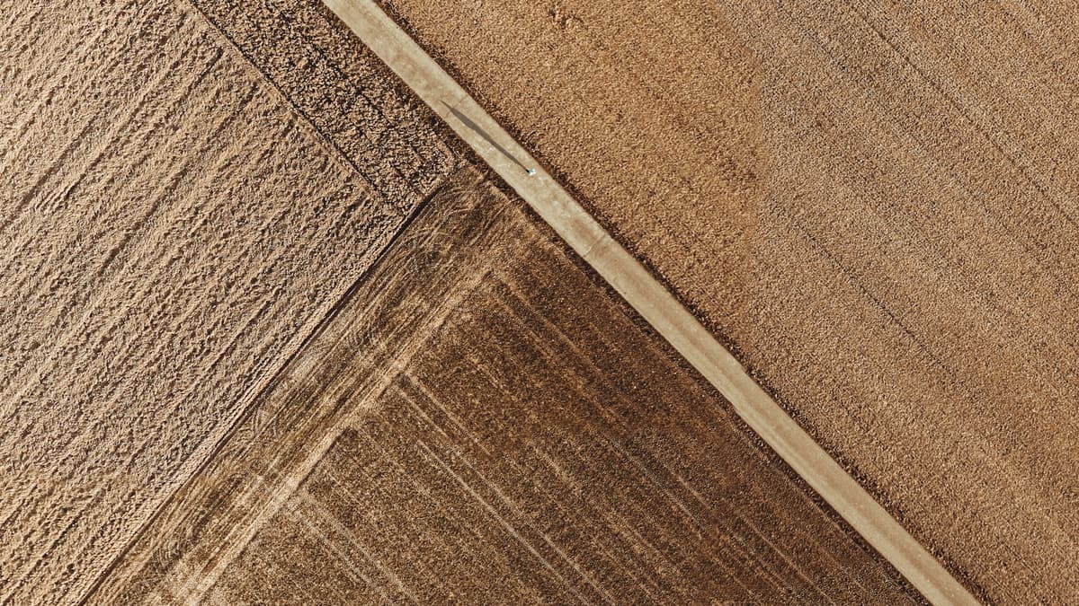 Luxury vinyl plank flooring shown up close, highlighting the rigid plastic core that separates LVP from wood-core laminate