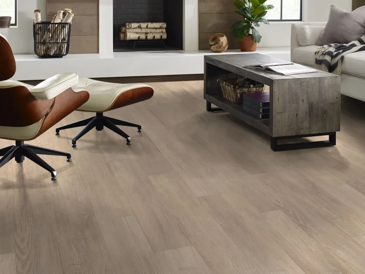 Shaw Endura Plus in Simple Wash grounds a modern living room with built-in shelving