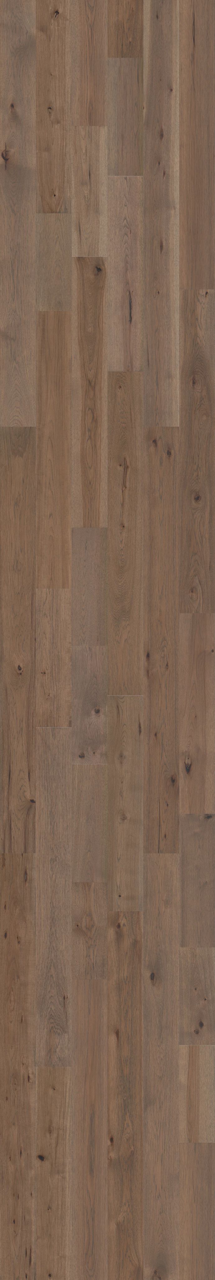 Anderson Tuftex Imperial Pecan AA828 Mushroom | FloorFreight